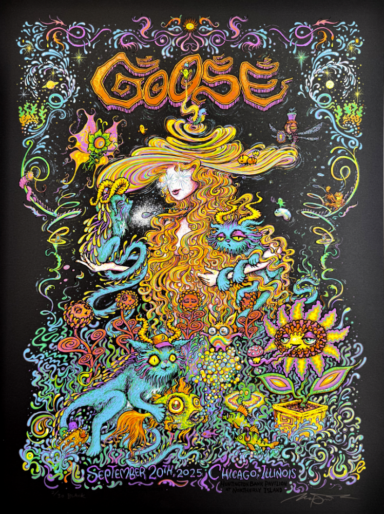 Goose - Chicago Poster 
