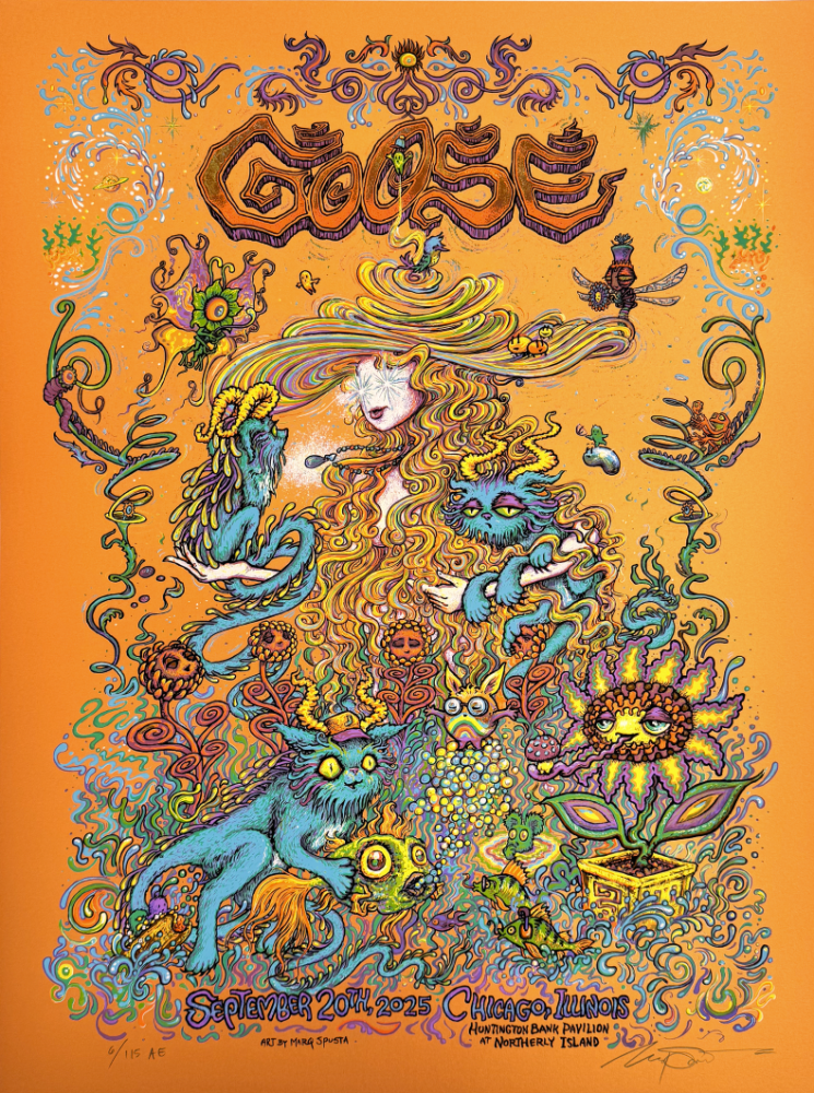 Goose - Chicago Poster 