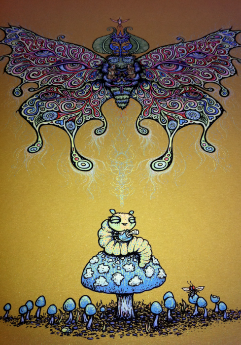 Blissed Out Bug Marq Spusta