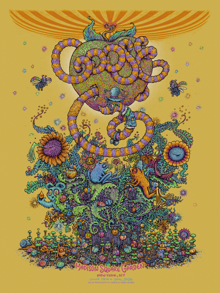 Goose - Madison Square Garden Poster 