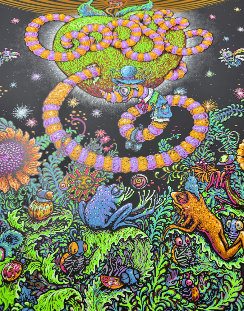 Goose - Madison Square Garden Poster 
